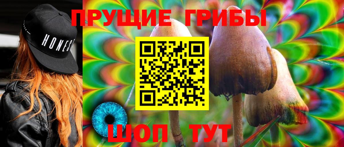 Новоалександровск  Псилоцибиновые грибы Magic Shrooms  Вход с VPN 